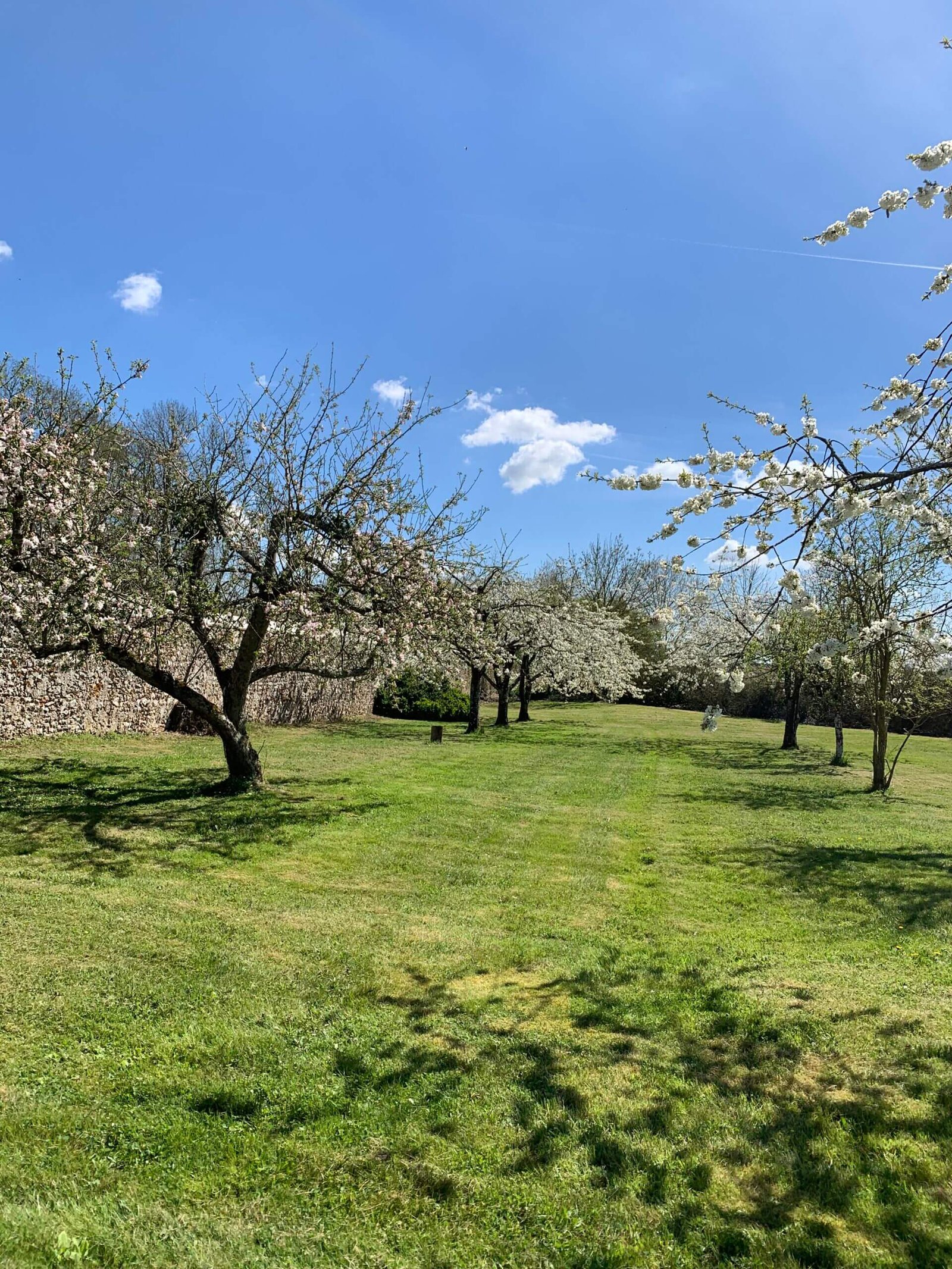 Verger en fleur du Domaine de Vérigny
